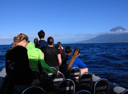 Die Insel Pico