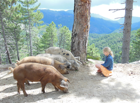<h2>Familienfreizeit Pfingsten</h2>